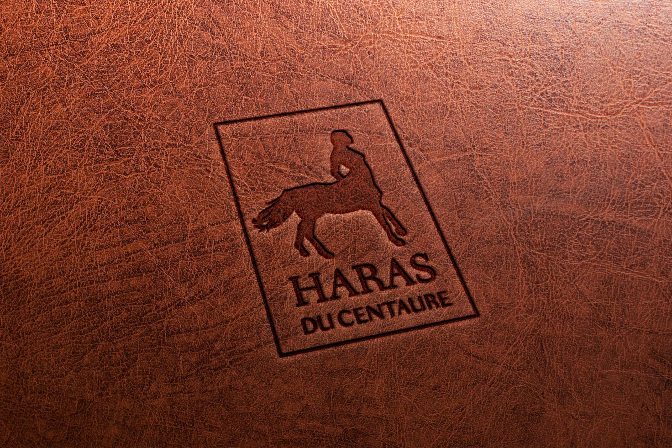 HARAS DU CENTAURE_Logotype